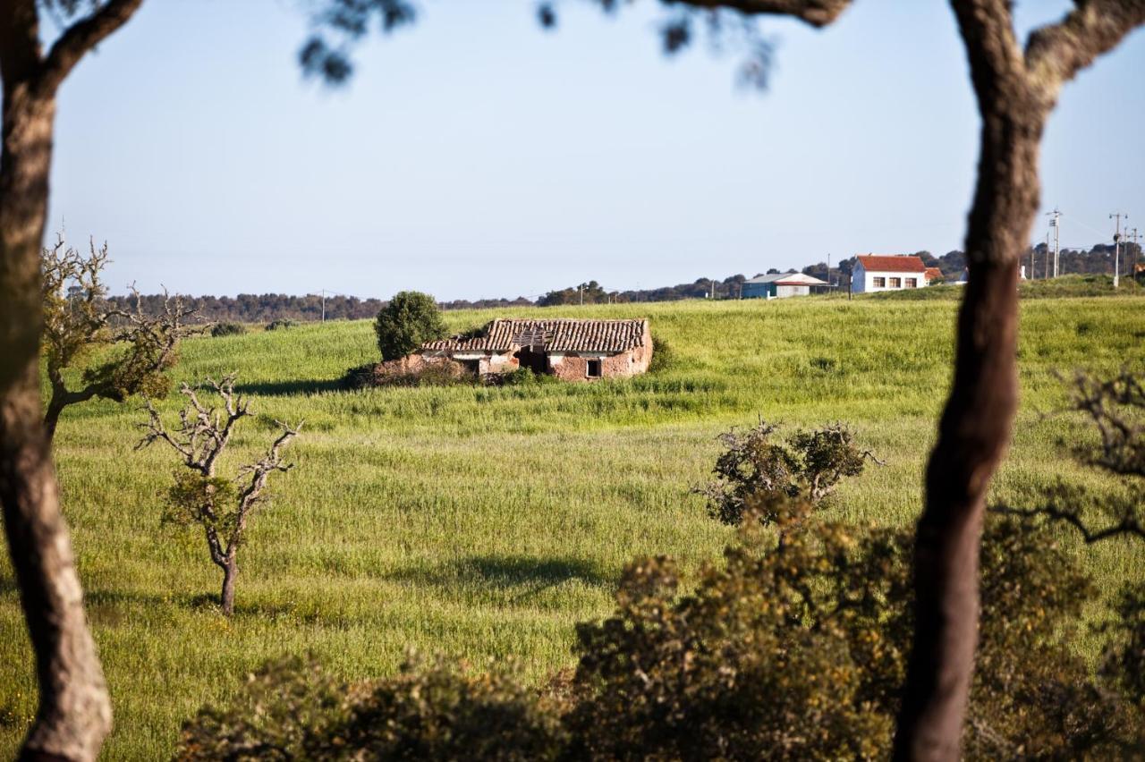 Eco Glamping Portugal Nature Lodge São Luis Exterior photo