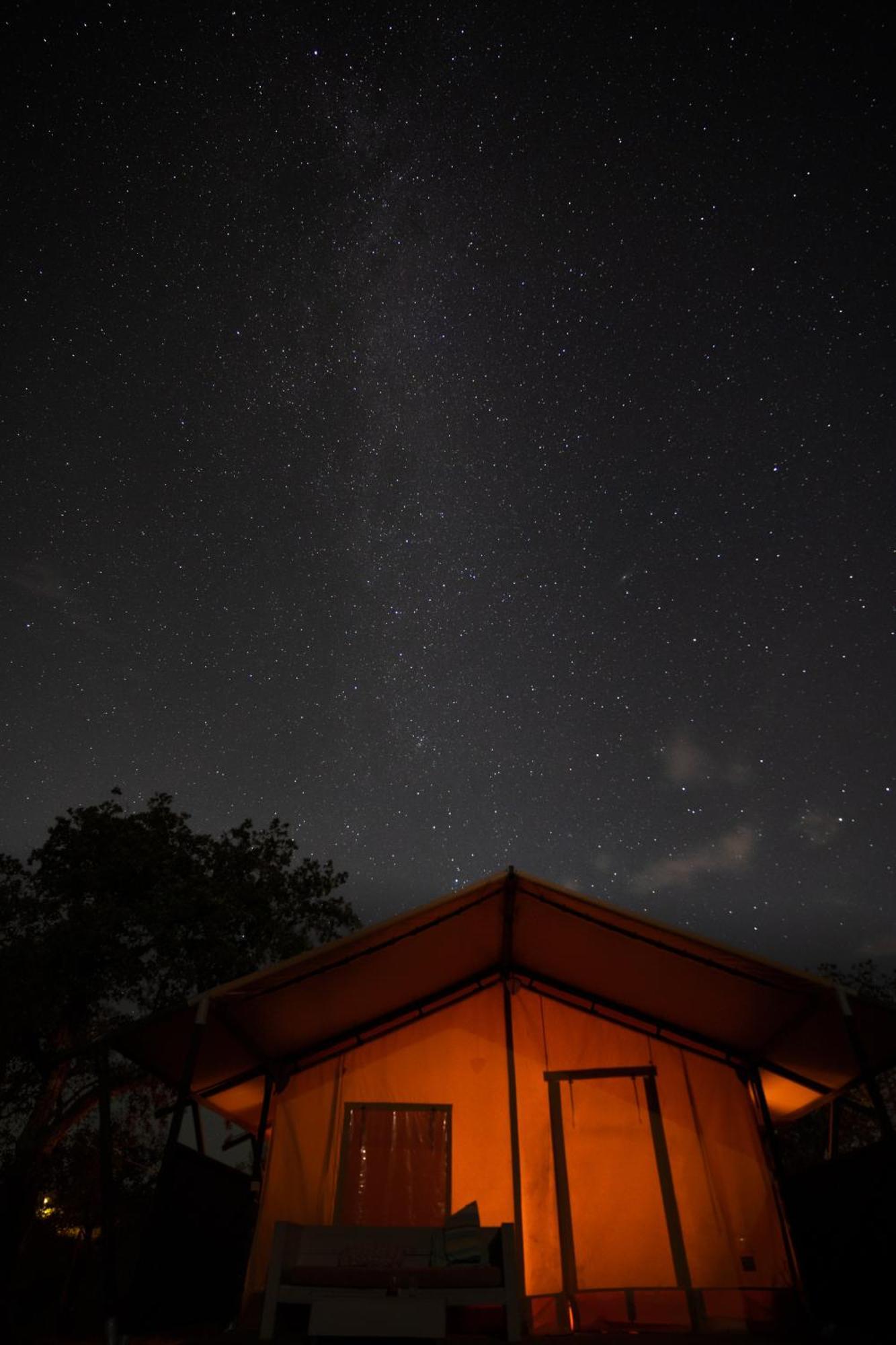 Eco Glamping Portugal Nature Lodge São Luis Exterior photo