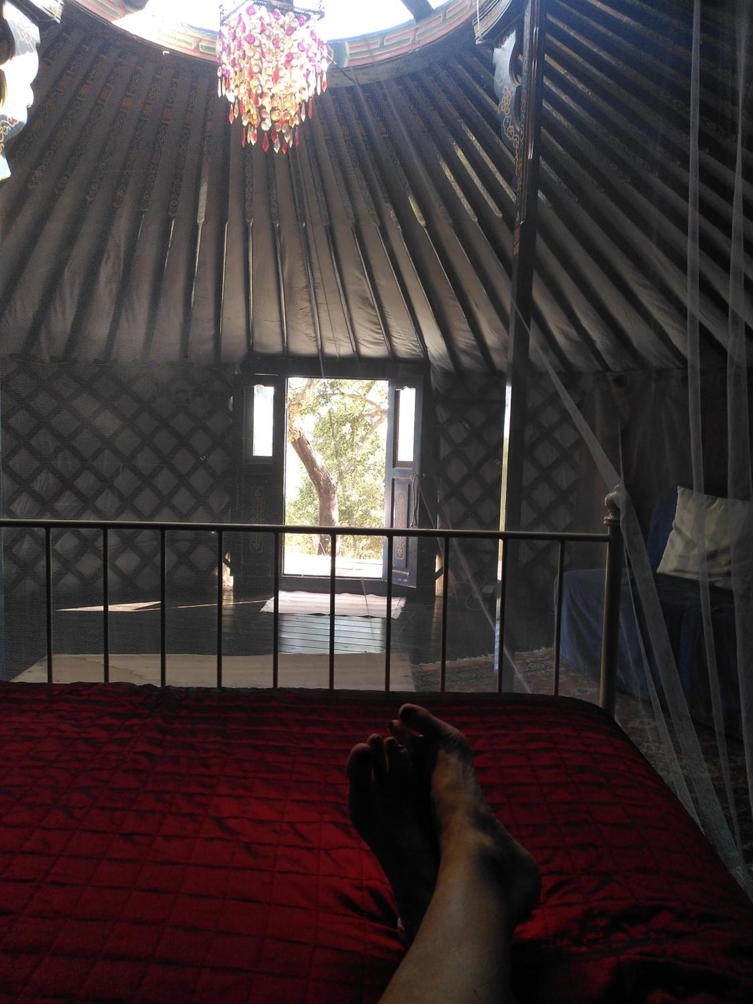Eco Glamping Portugal Nature Lodge São Luis Exterior photo