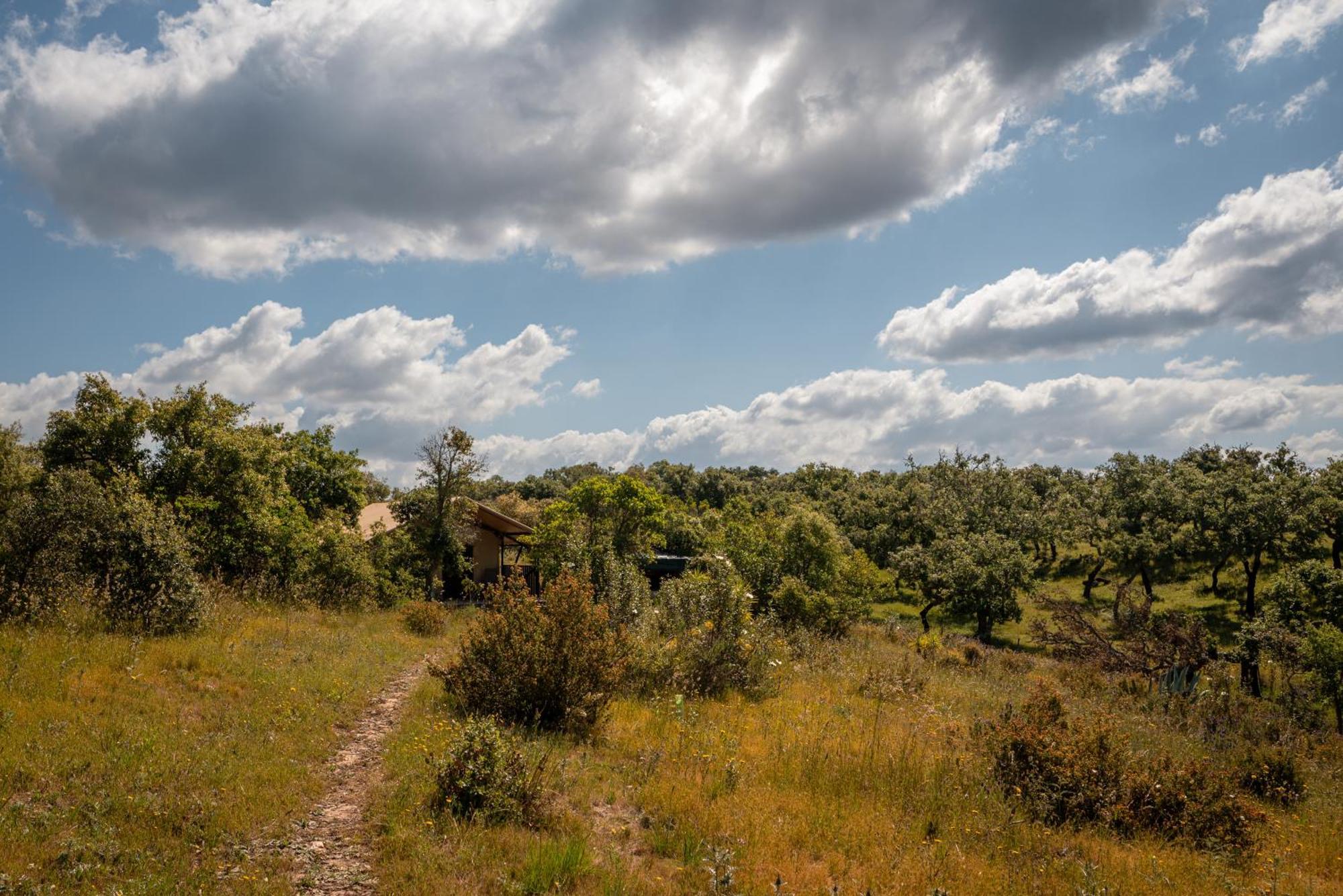 Eco Glamping Portugal Nature Lodge São Luis Exterior photo