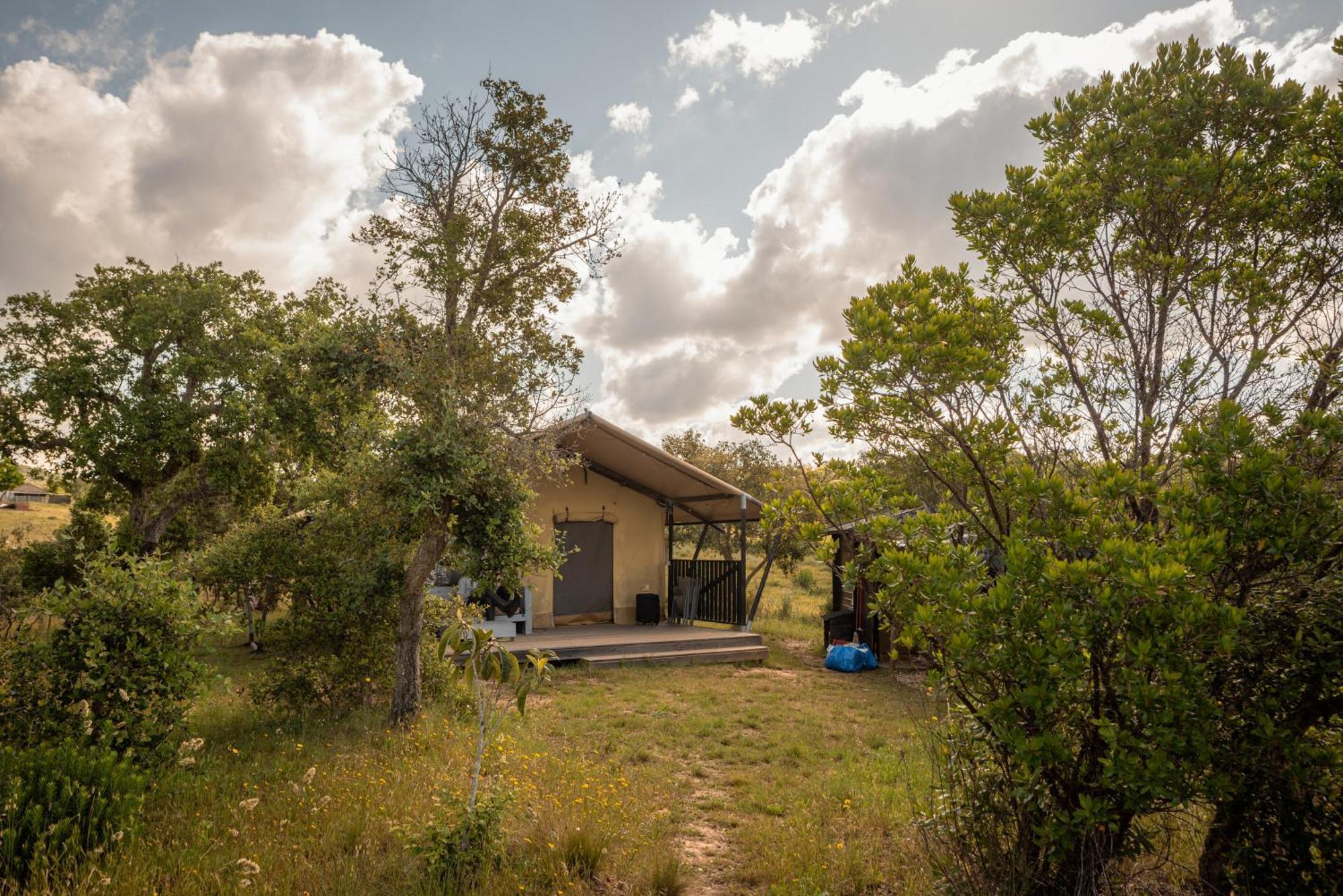 Eco Glamping Portugal Nature Lodge São Luis Exterior photo