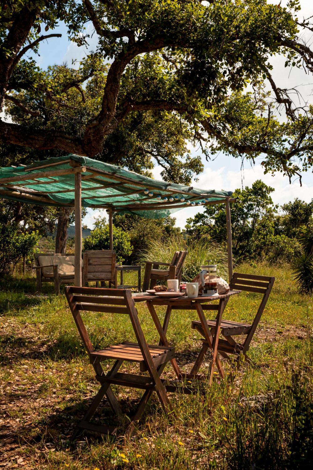 Eco Glamping Portugal Nature Lodge São Luis Exterior photo